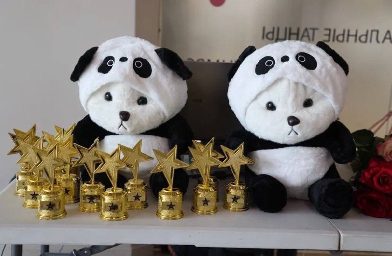 ⭐️ПЕРВАЯ ЕЖЕГОДНАЯ ПРЕМИЯ “PANDA’S STAR”